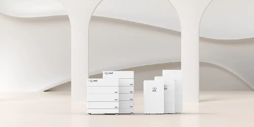 Sodium electric energy storage system